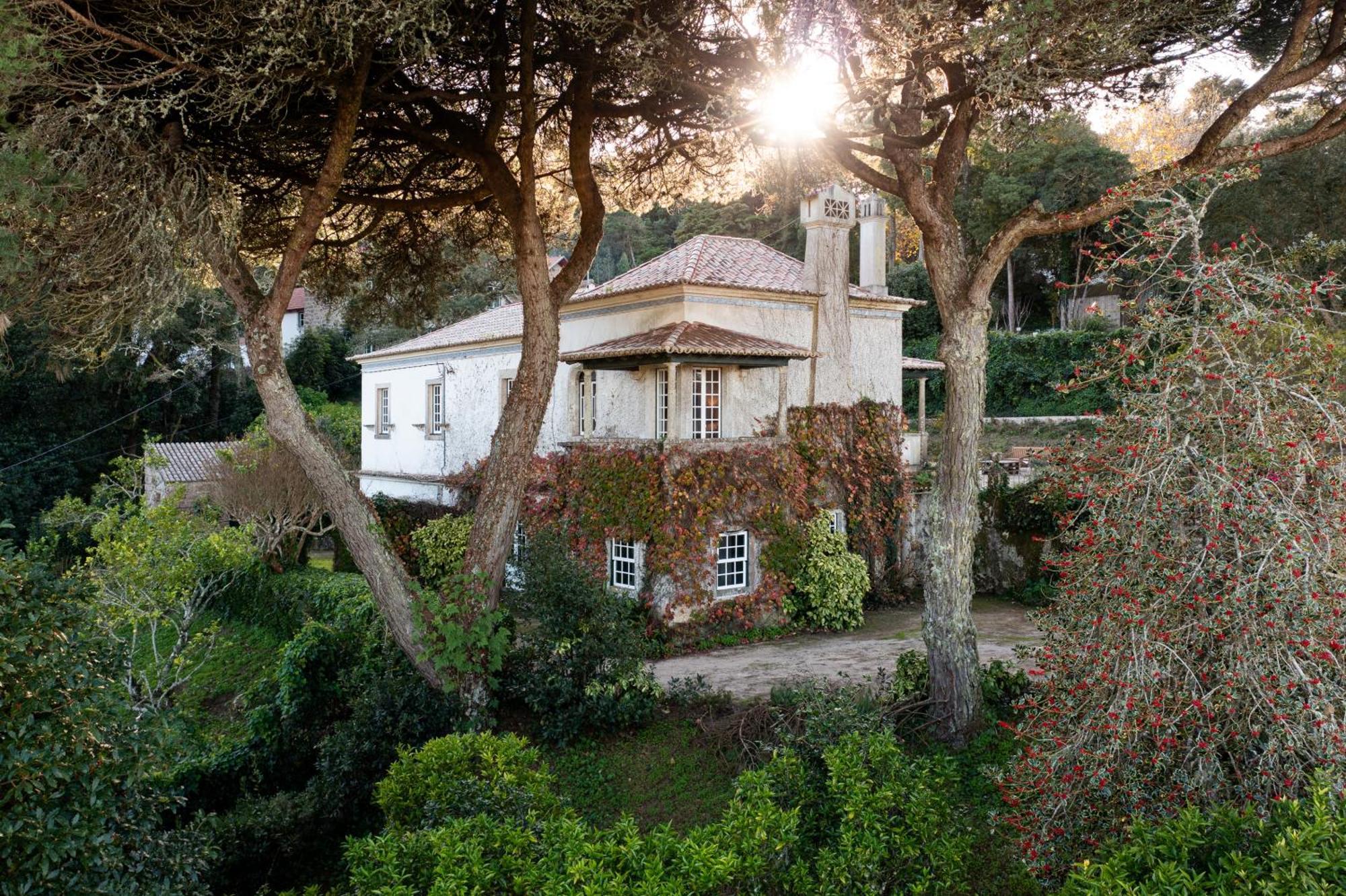 Chalet Chapeu De Sol - Sintra Bagian luar foto